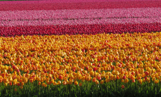 1192245 (a): :1920x1152